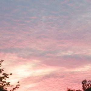 花花世界的头像